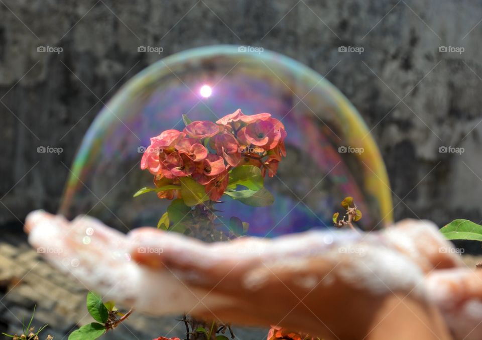 Hand made Bubble withe flowers and sun reflections