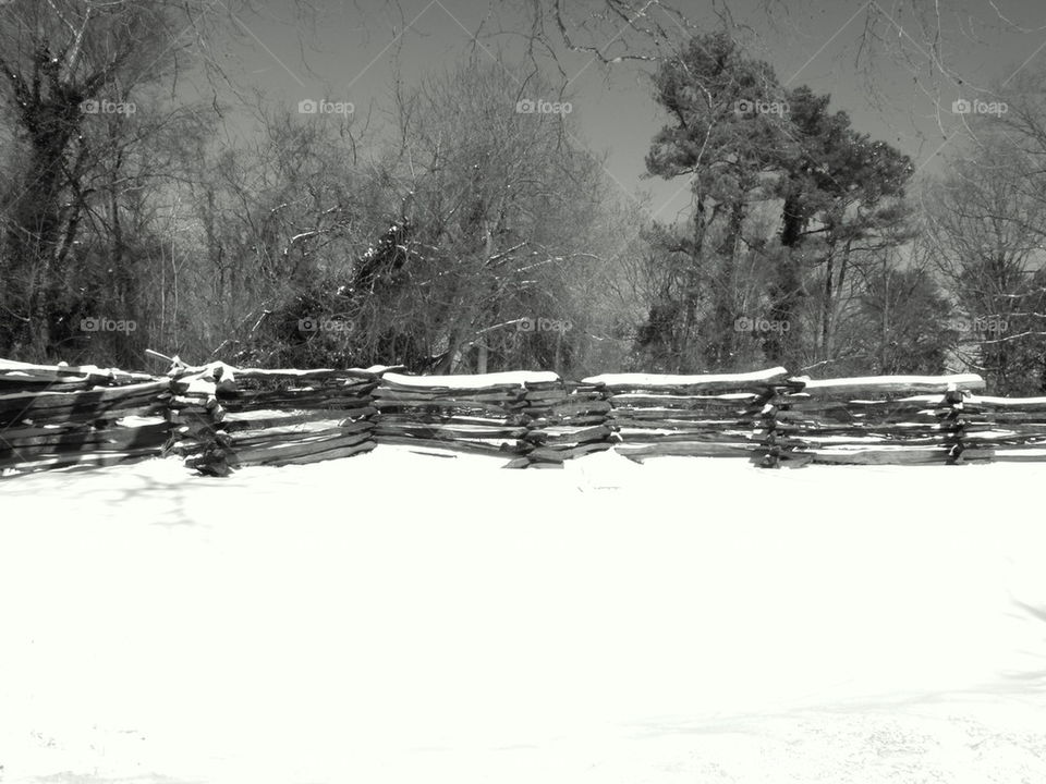 Snowy fence