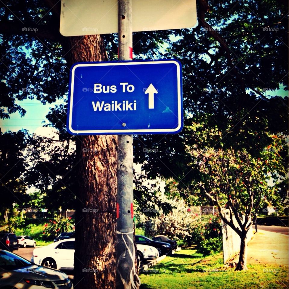 Waikiki Bus Stop 