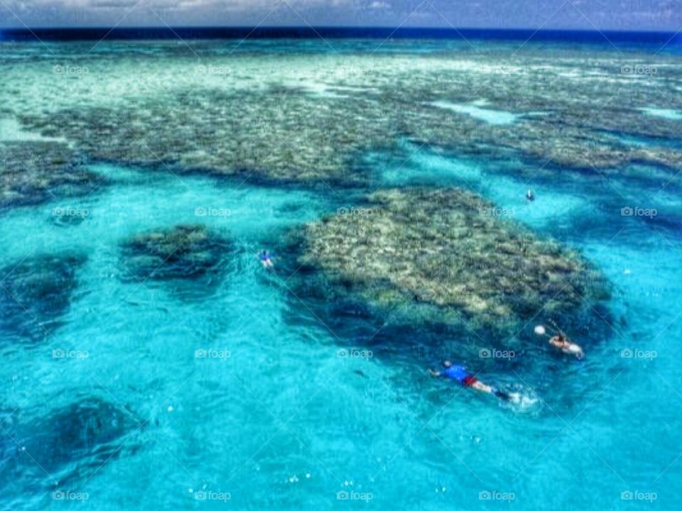 Great Barrier Reef, Australia 