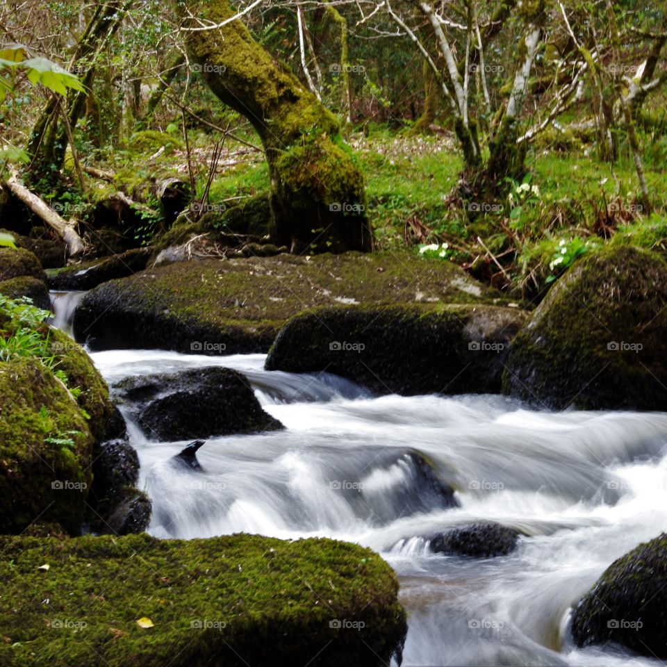 River Bovey