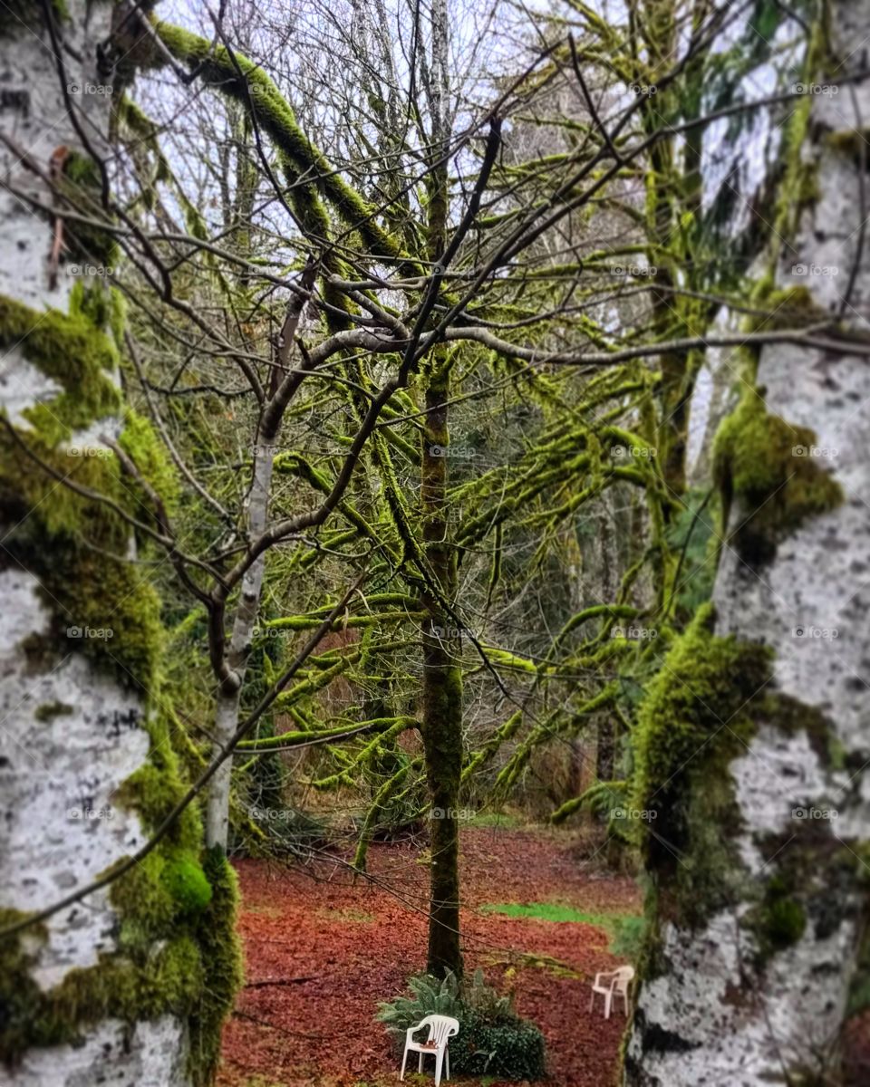 Nature at its finest 