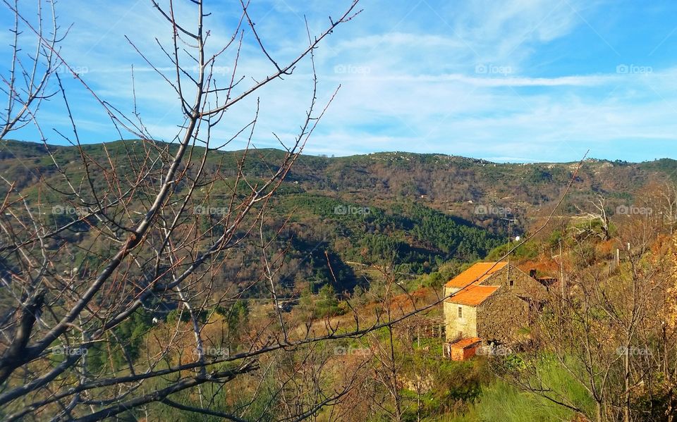 Lonely house