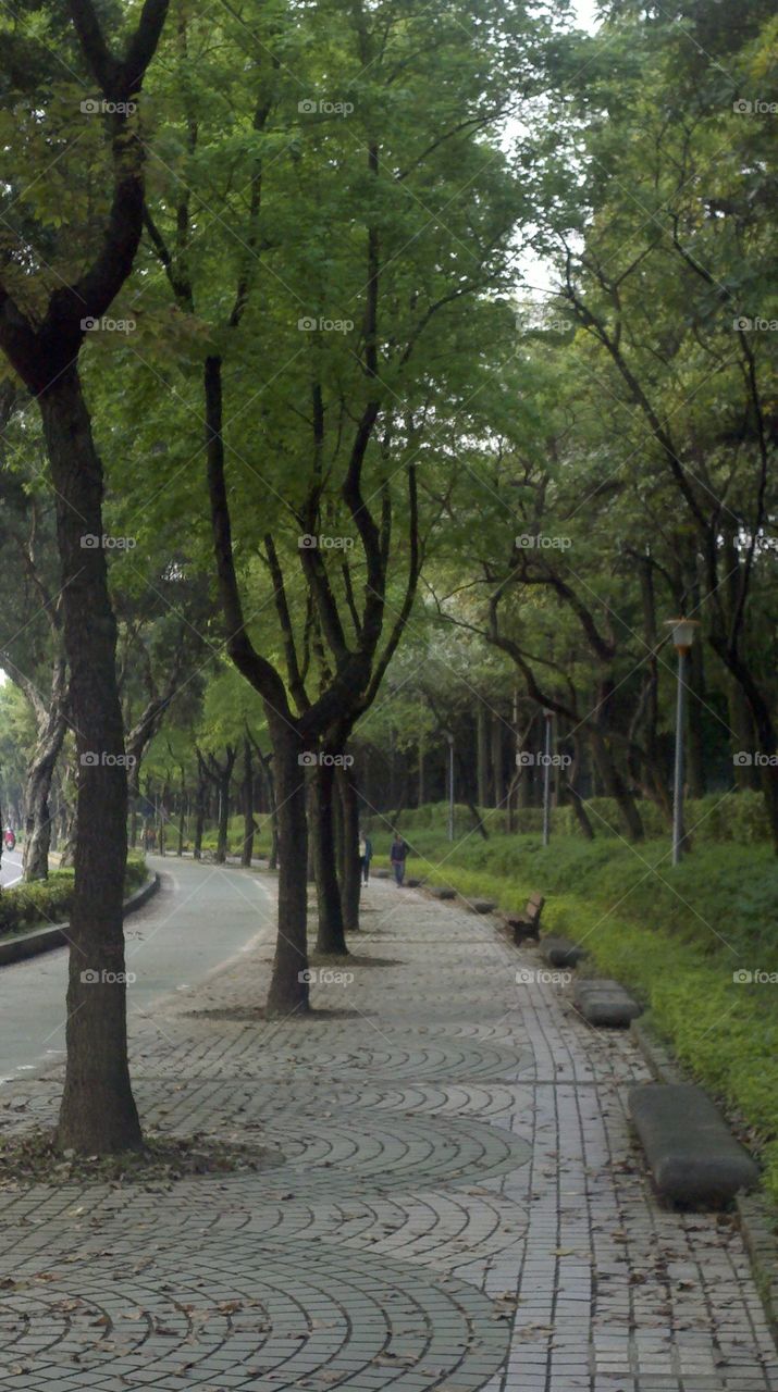 Taipei Park