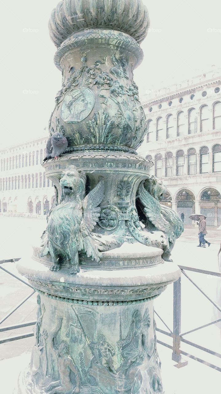 pigeon and winged lions st Mark's square Venice