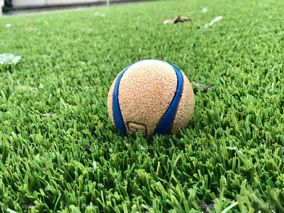 Ball in the grass