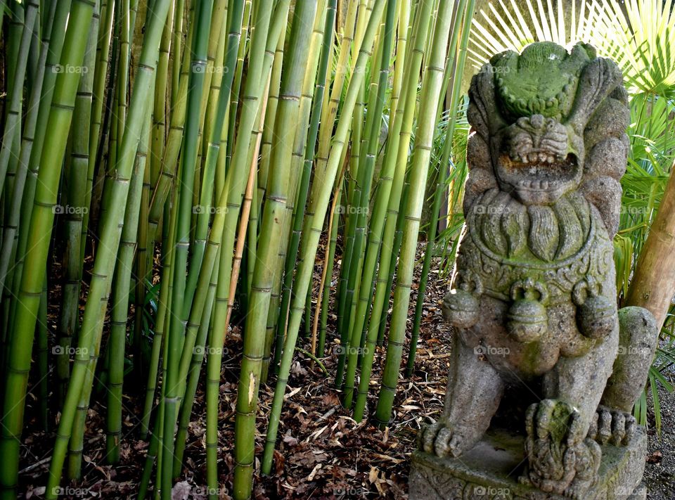 bambous