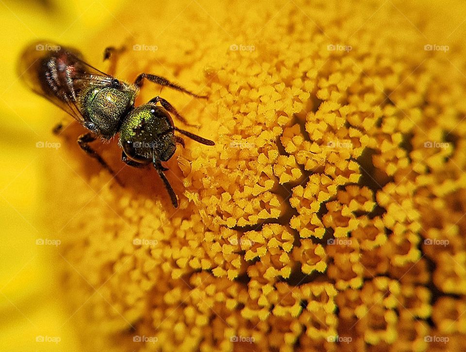 A hora do lanche 😊