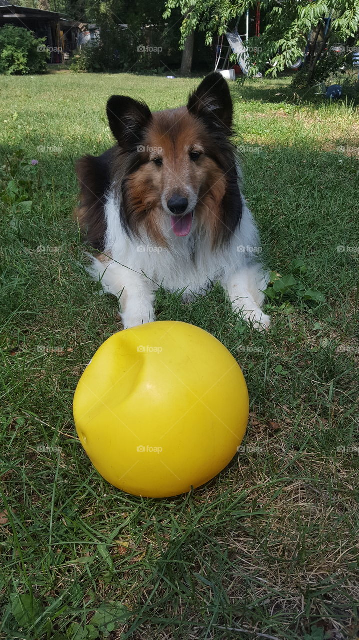 I want to play ball
