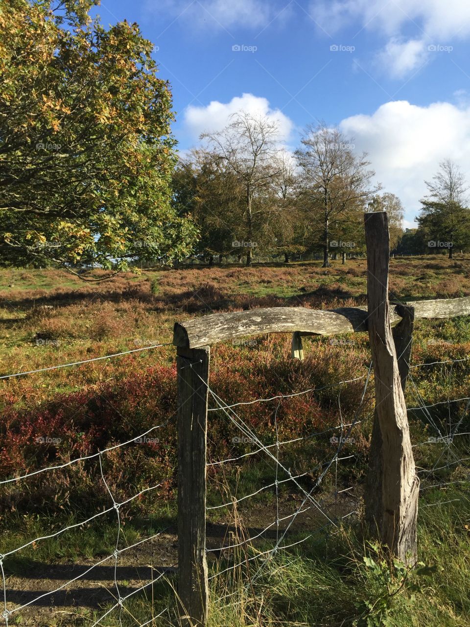 Scenic view of wooden fence at autumn