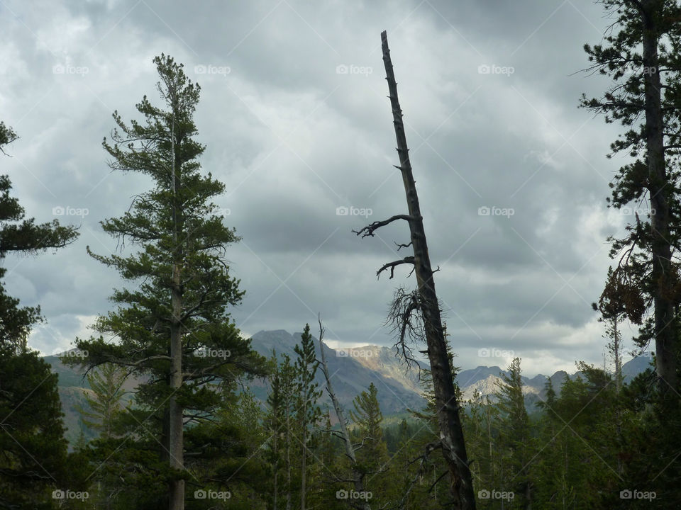 green clouds trees mountains by kenglund