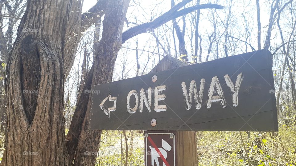 One Way Sign