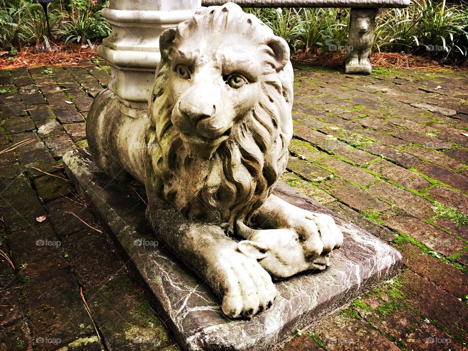 lion statue