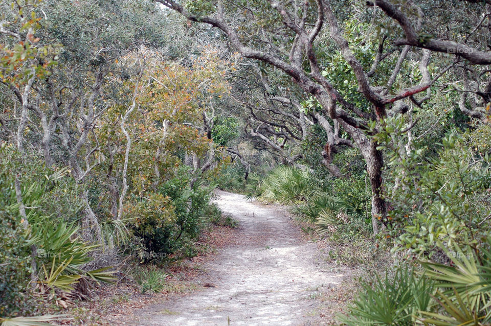 path hike florida flagler by sixcrows