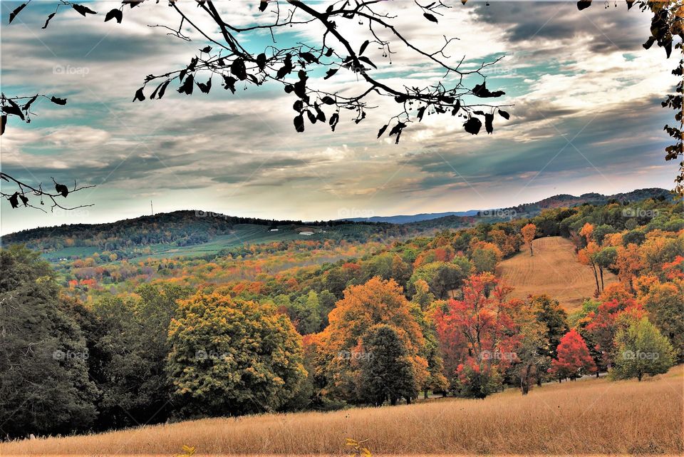 Hudson Valley Fall Foliage 