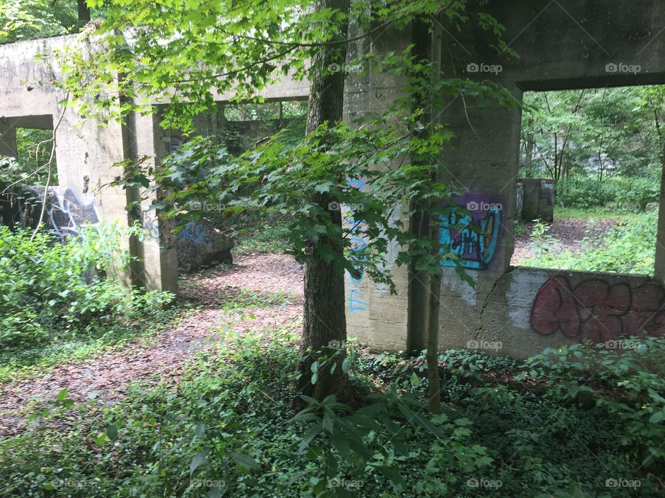 Garden, Wood, House, No Person, Leaf