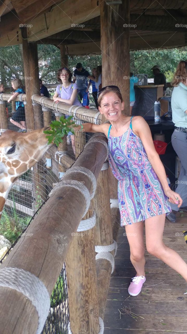 Jacksonville Zoo feeding the giraffes, loving life in Florida