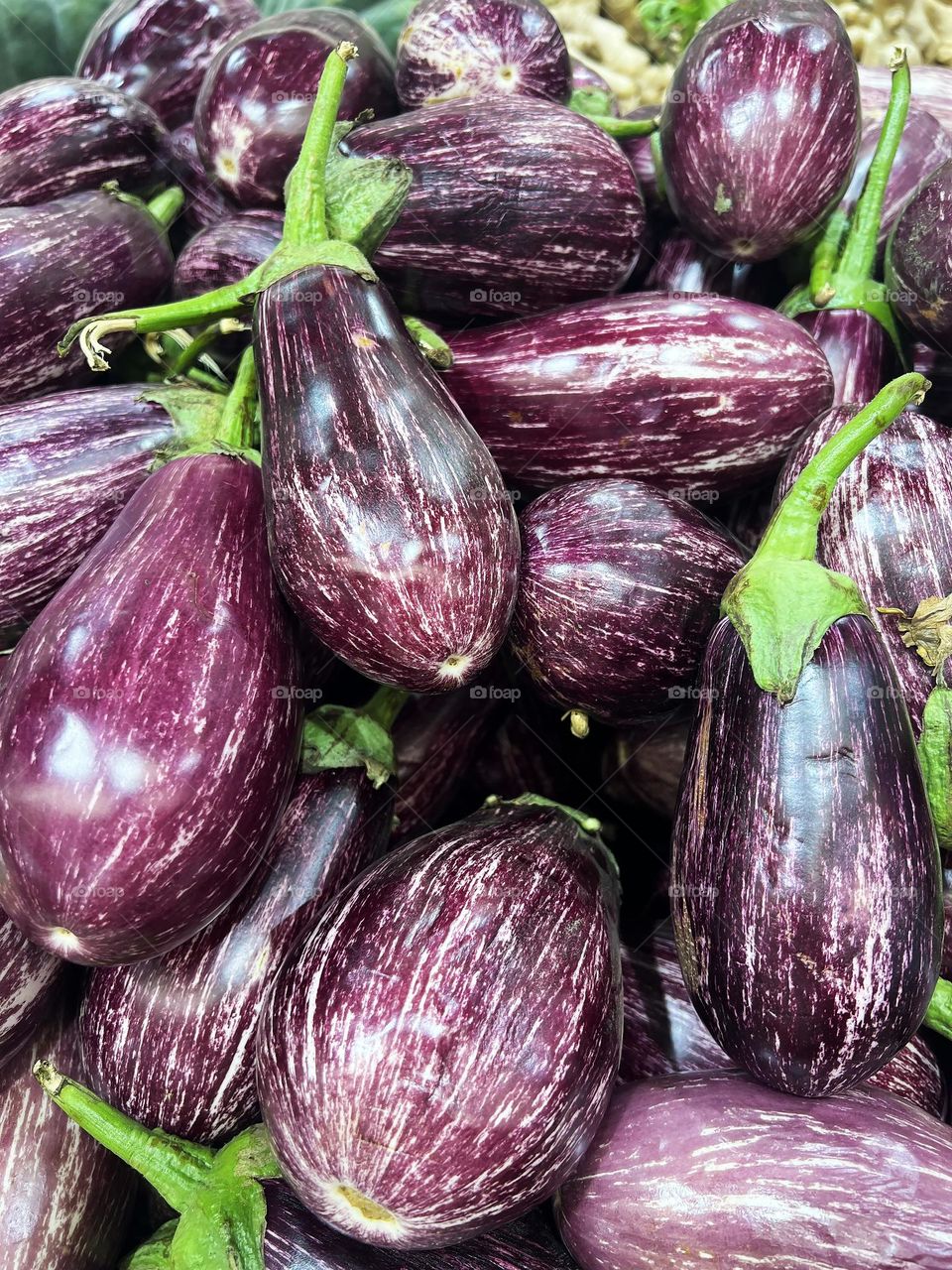 Eggplants shot close-up. Vegetables. Background