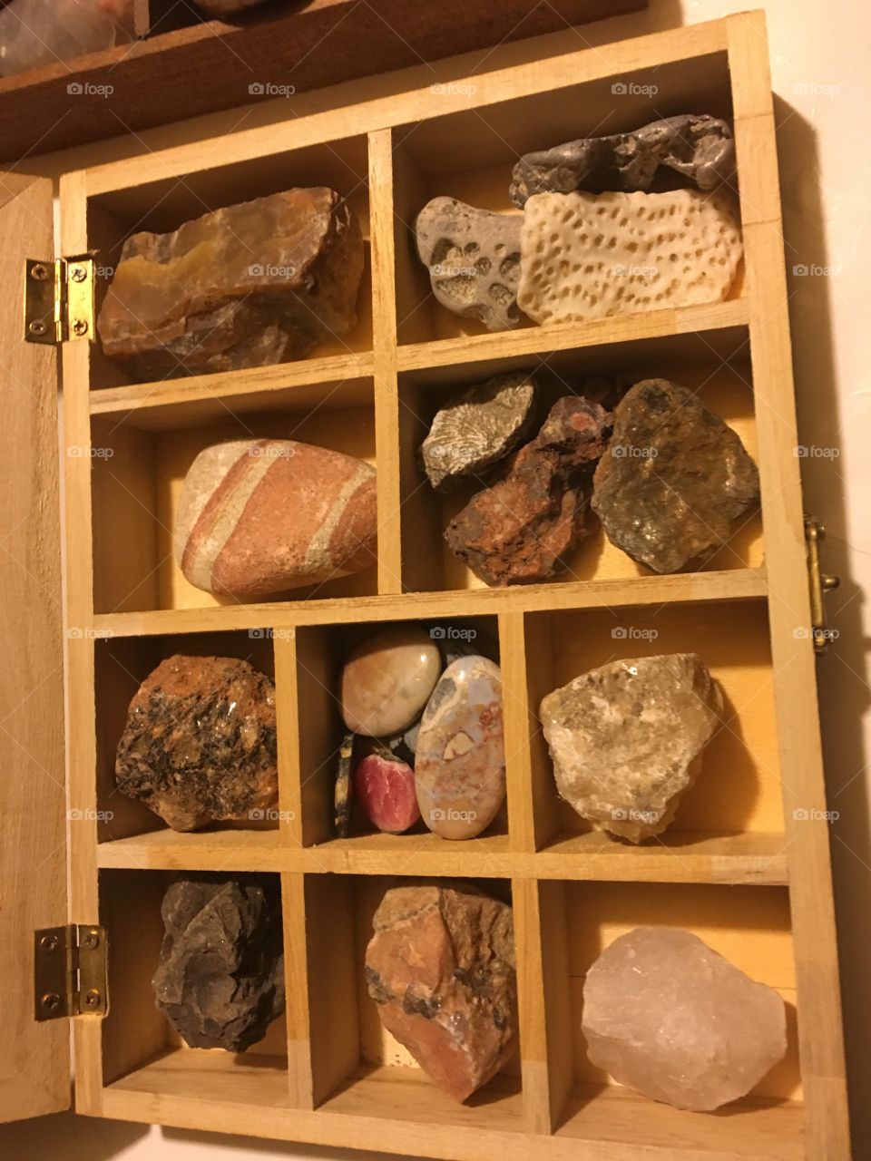 Rock display 