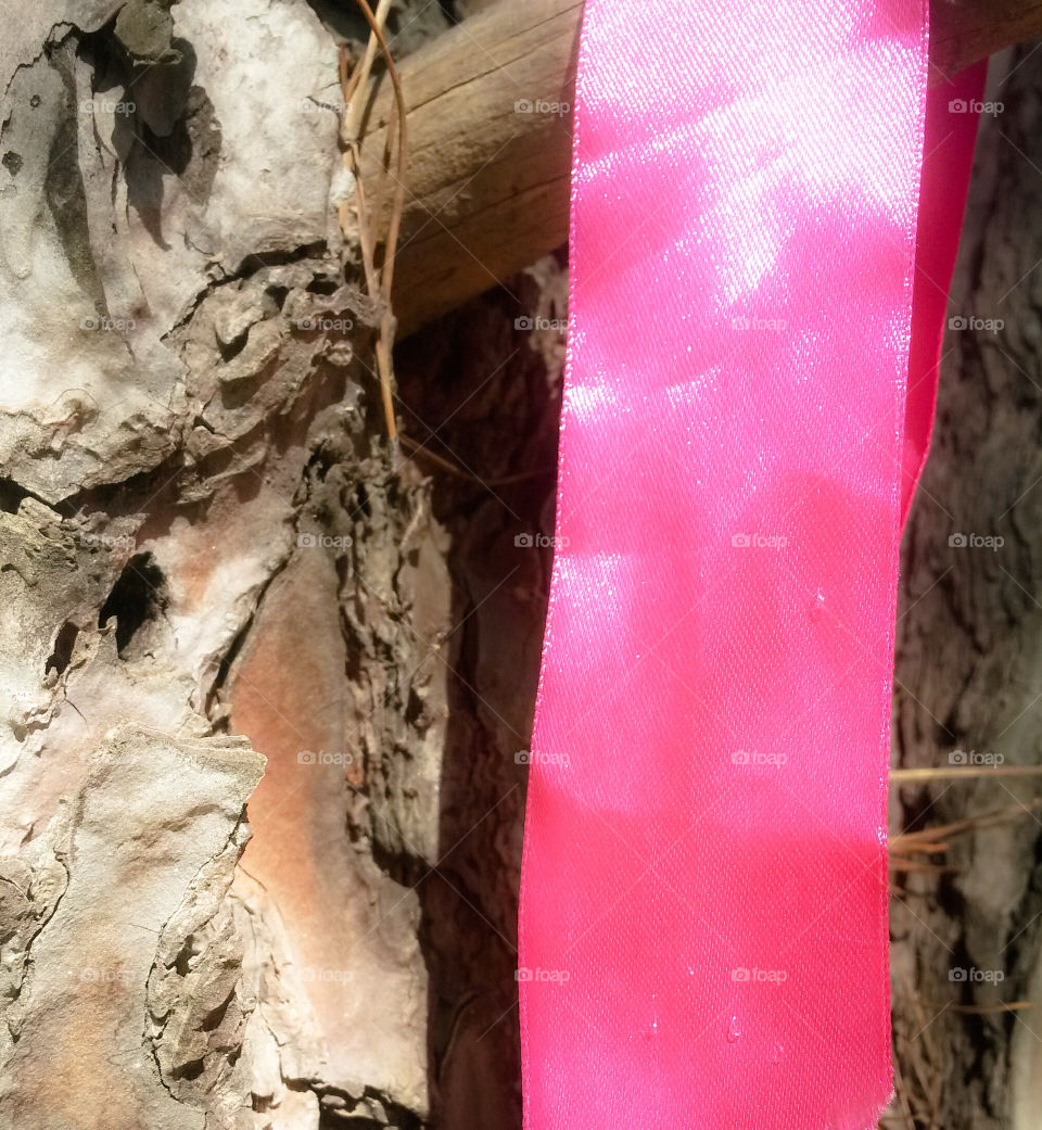 pink ribbon and oak