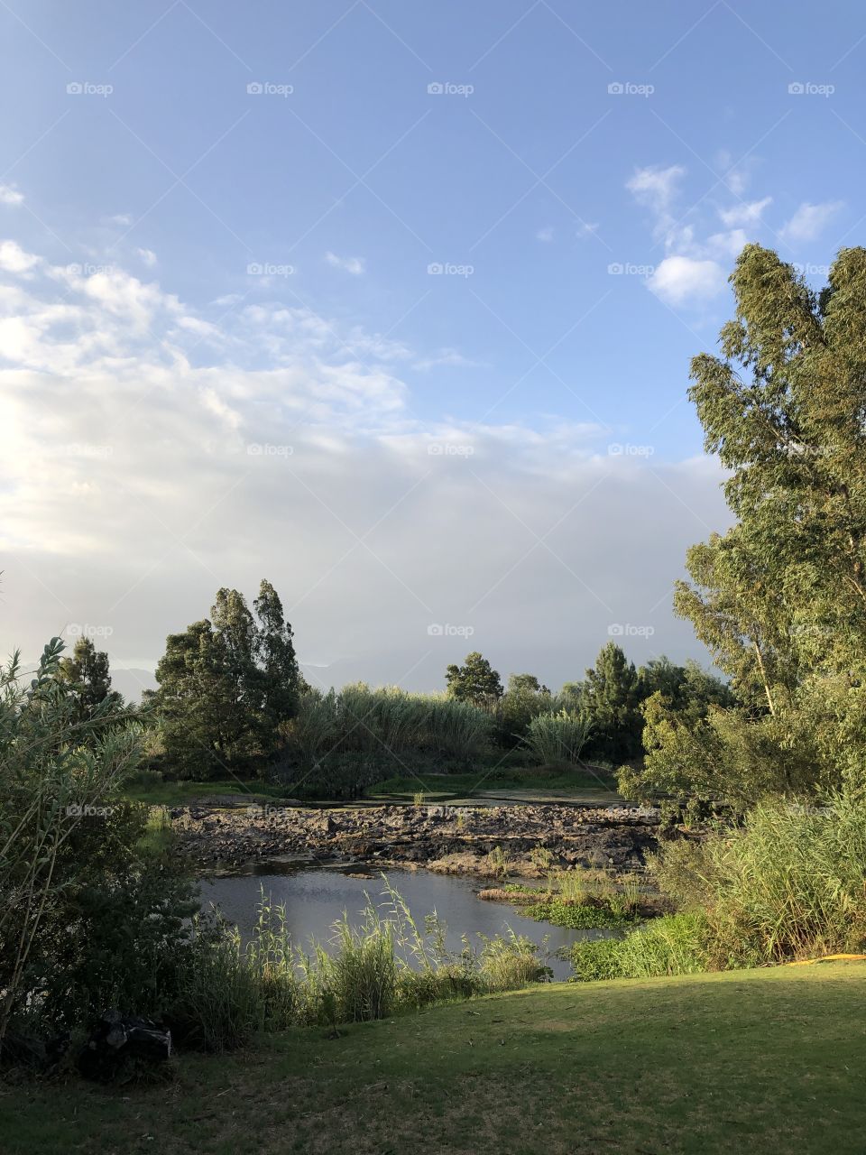 Vacay in Western Cape, South Africa is the best. I love waking up to views of the nature - “miss this because I’m staying home for you”.