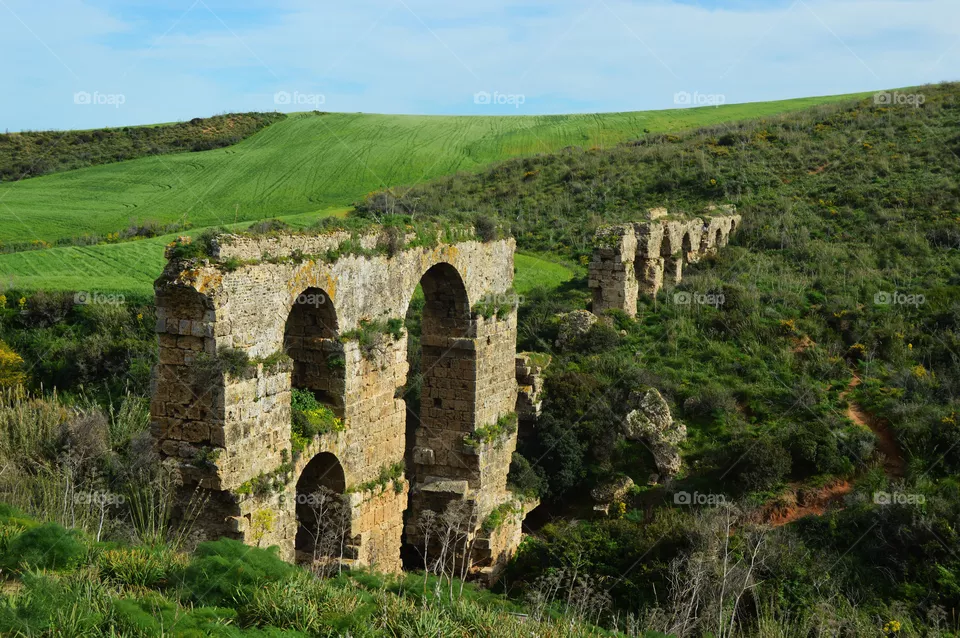 Arches