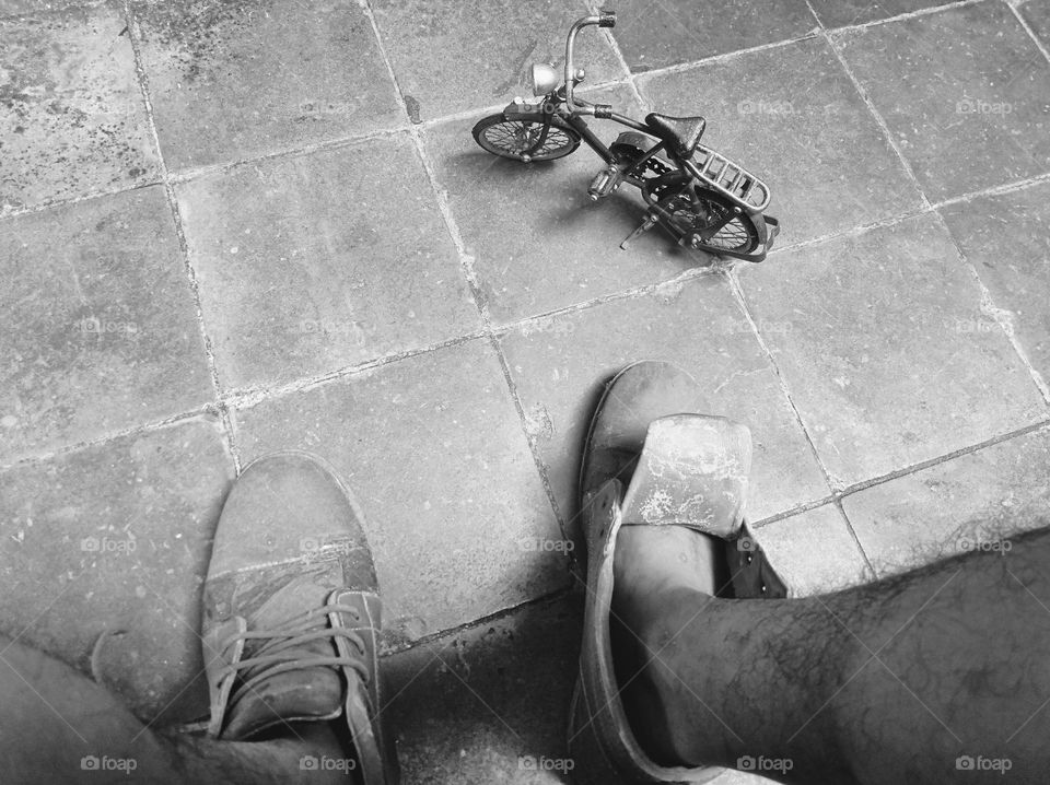 In the world of liliput