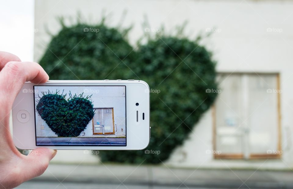 Taking photo of ivy heart. Person taking a photo of an ivy heart on a building with a cell phone.