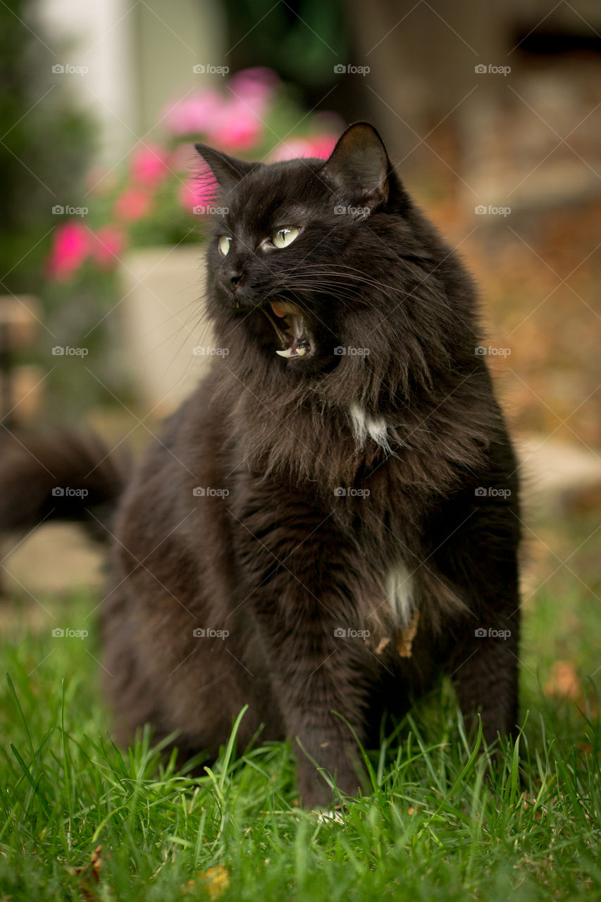 I have a long story to tell you...