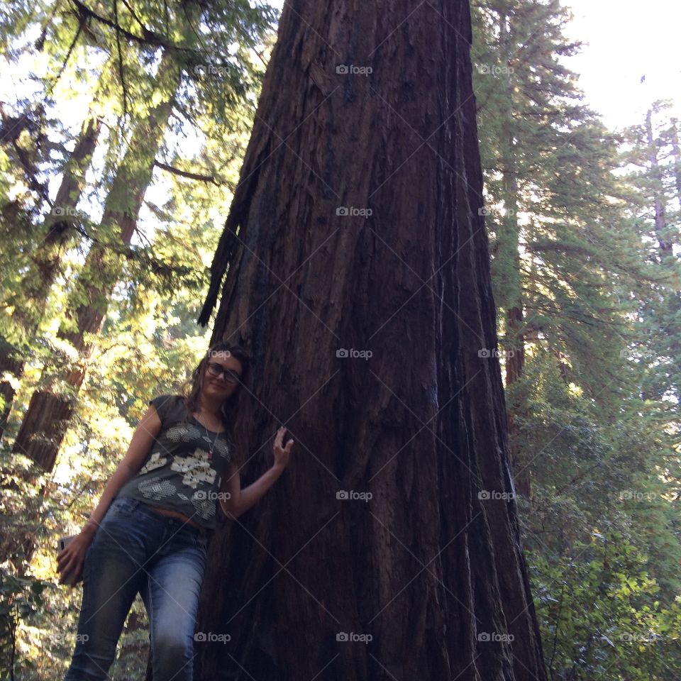 Nature, trees, redwood, California, mother, wife, sexy, model, green, love, adventure