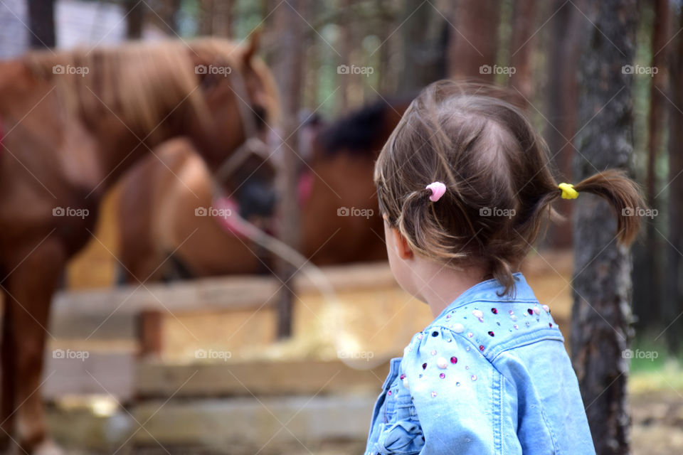 Little girl with horses