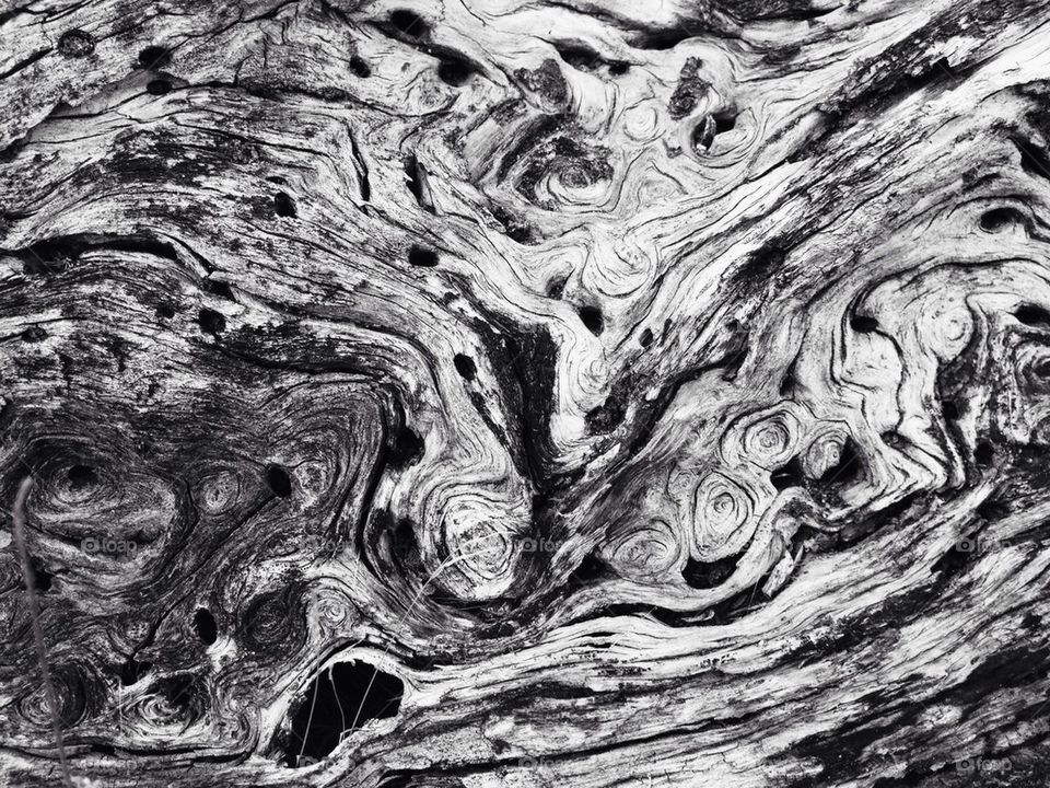 Tree bark swirls