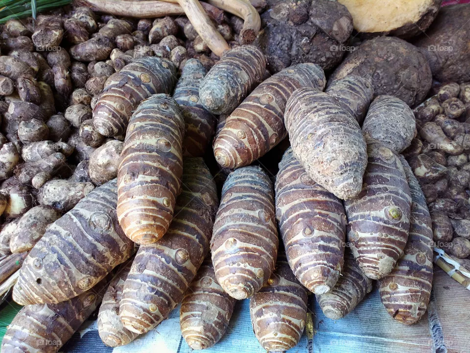 Yam