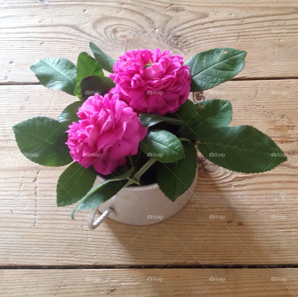 Pink flowers on wooden table