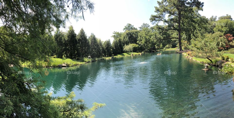 Stunning lake in the middle of the forest with colorful fishes in the water. 
