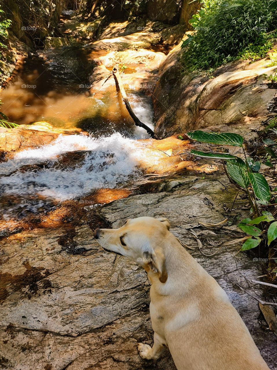 dia de passeio