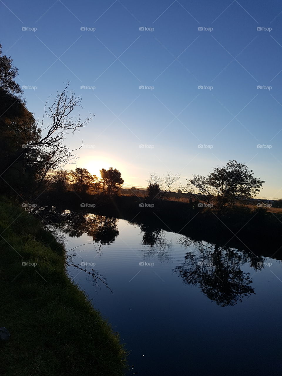 Mitchell River Reflecting at Dusk