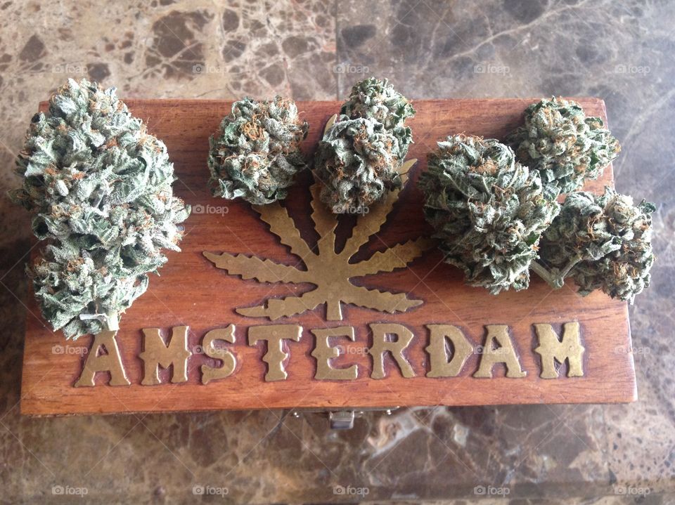 Amsterdam and Canadian flowers