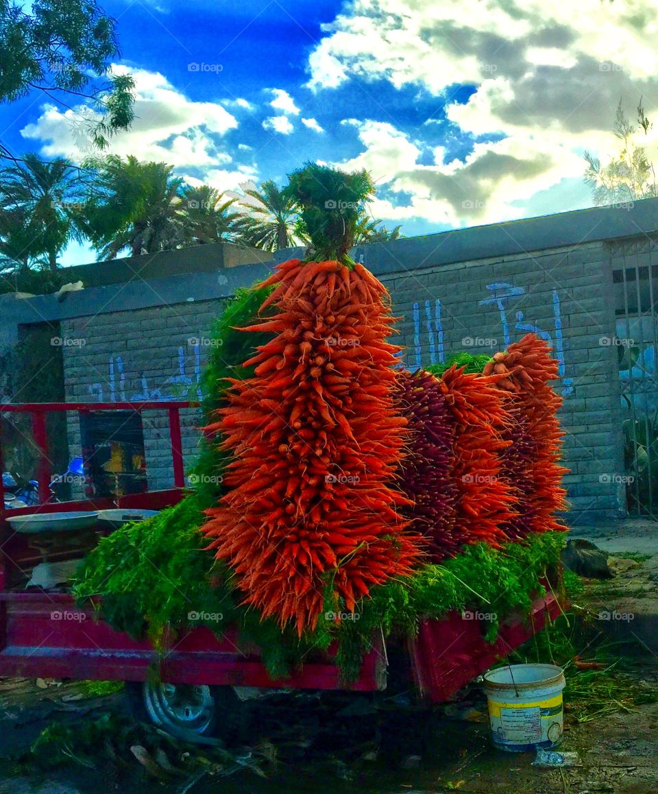 Bright orange carrots for sale on local market 