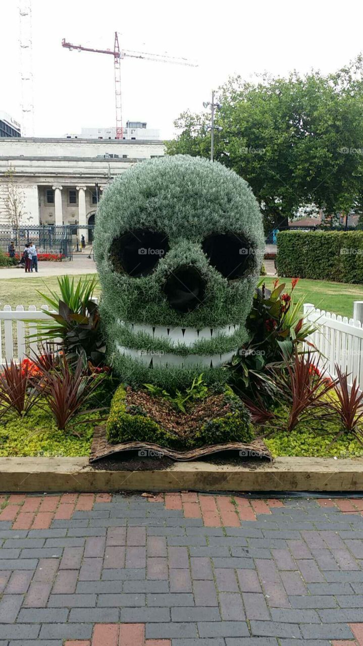 garden skull