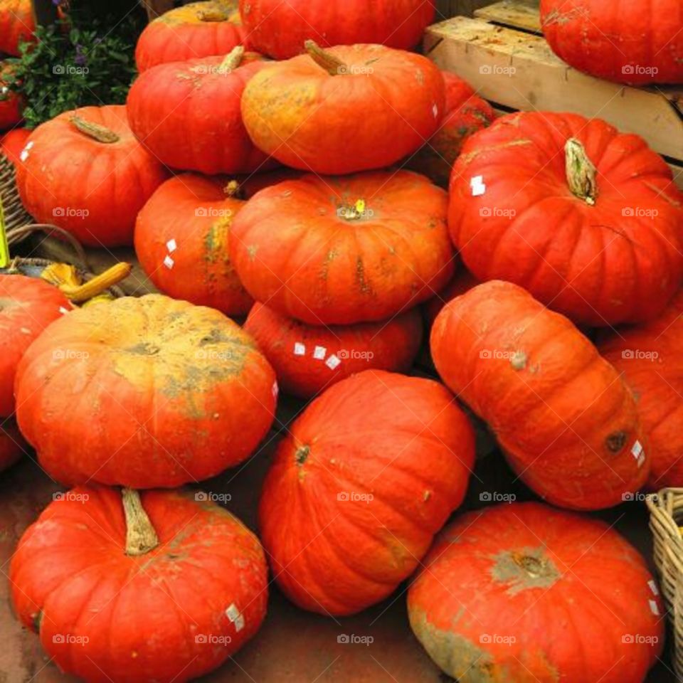 pumpkins