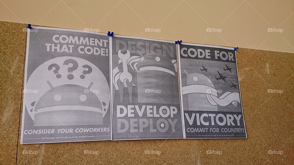 Software development