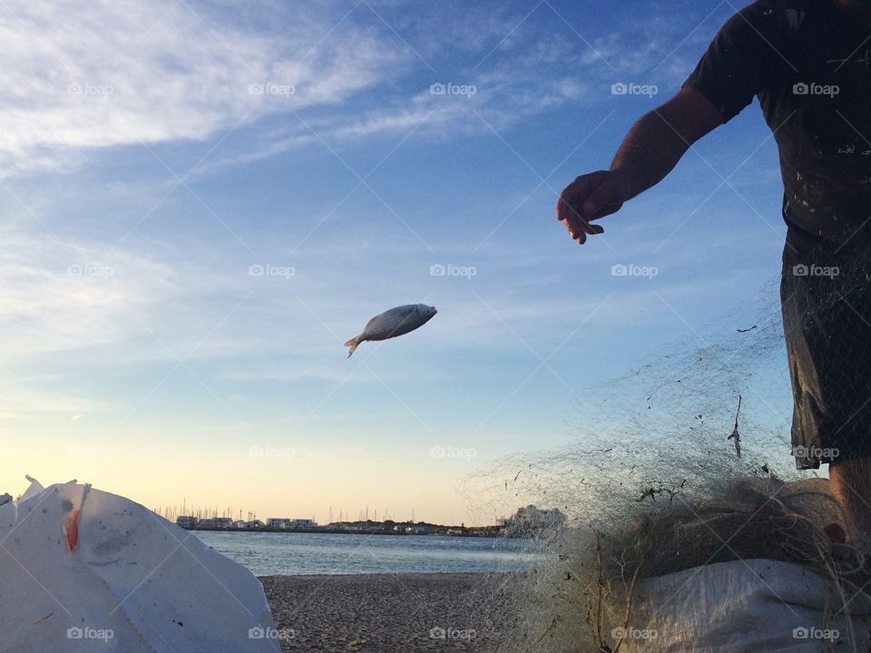 flying fish. fisherman throwing fish