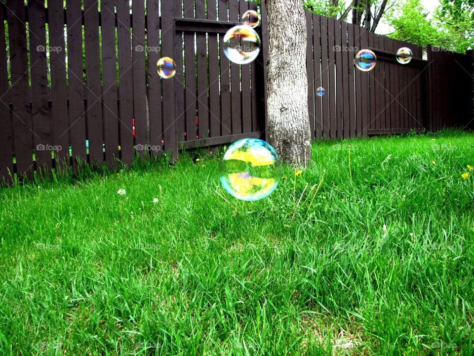 Blowing bubbles