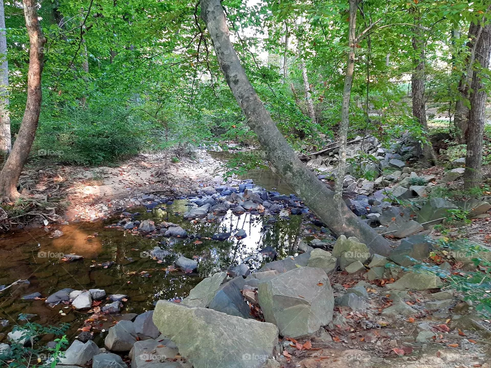 Hiking area. Charlotte