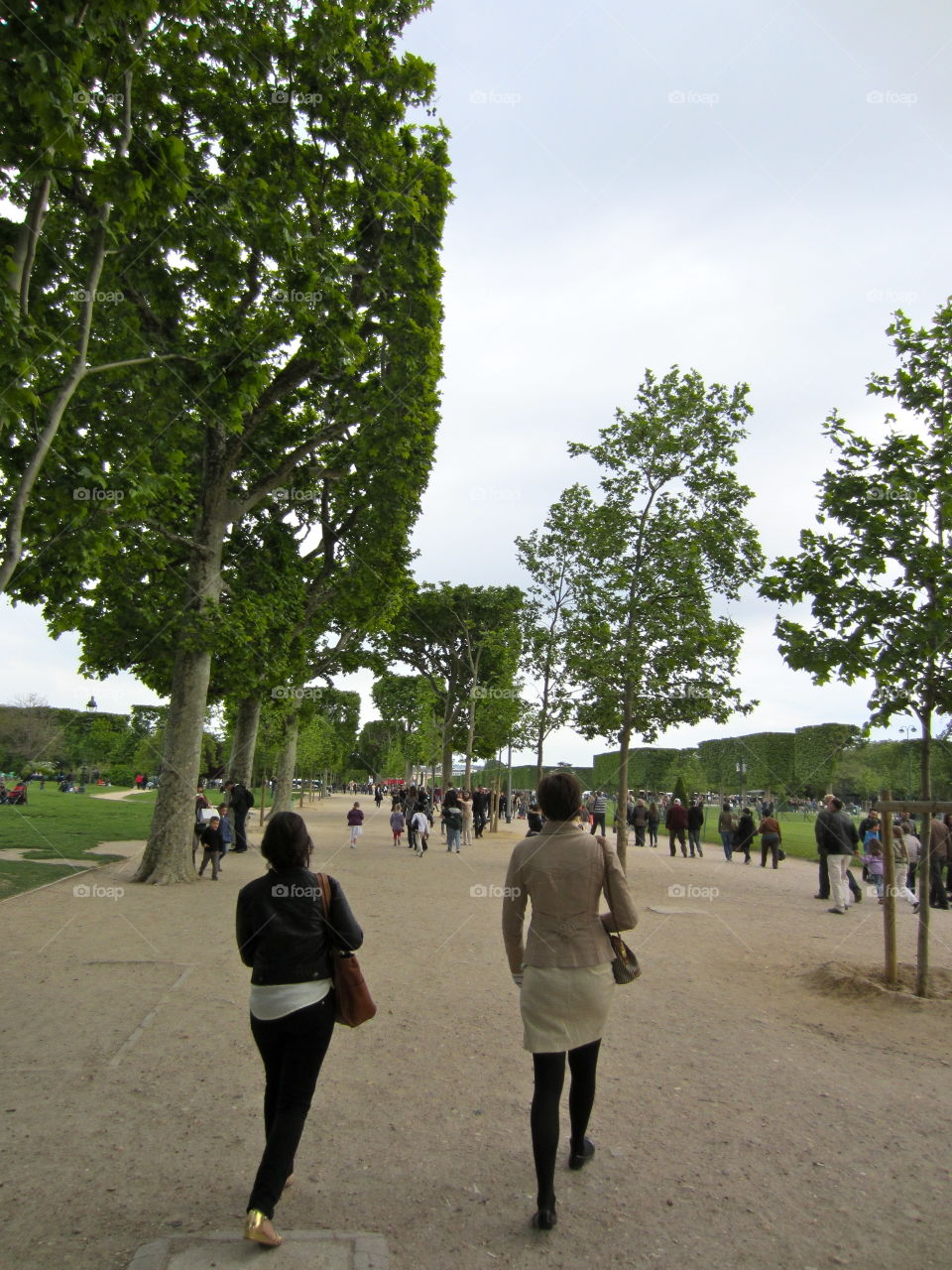 Environment, Tree, Landscape, People, Road