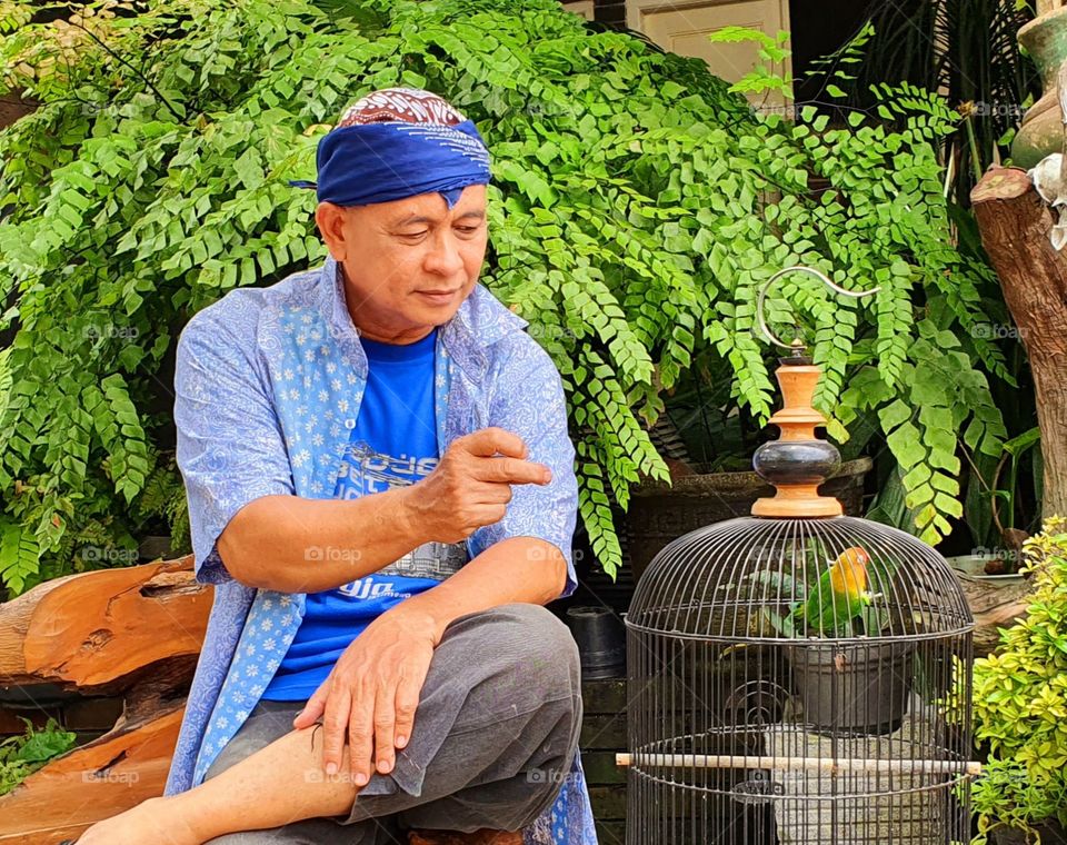 A man wearing a typical Javanese shirt and hat,Indonesia is sitting in the garden while inviting his bird to whistle
