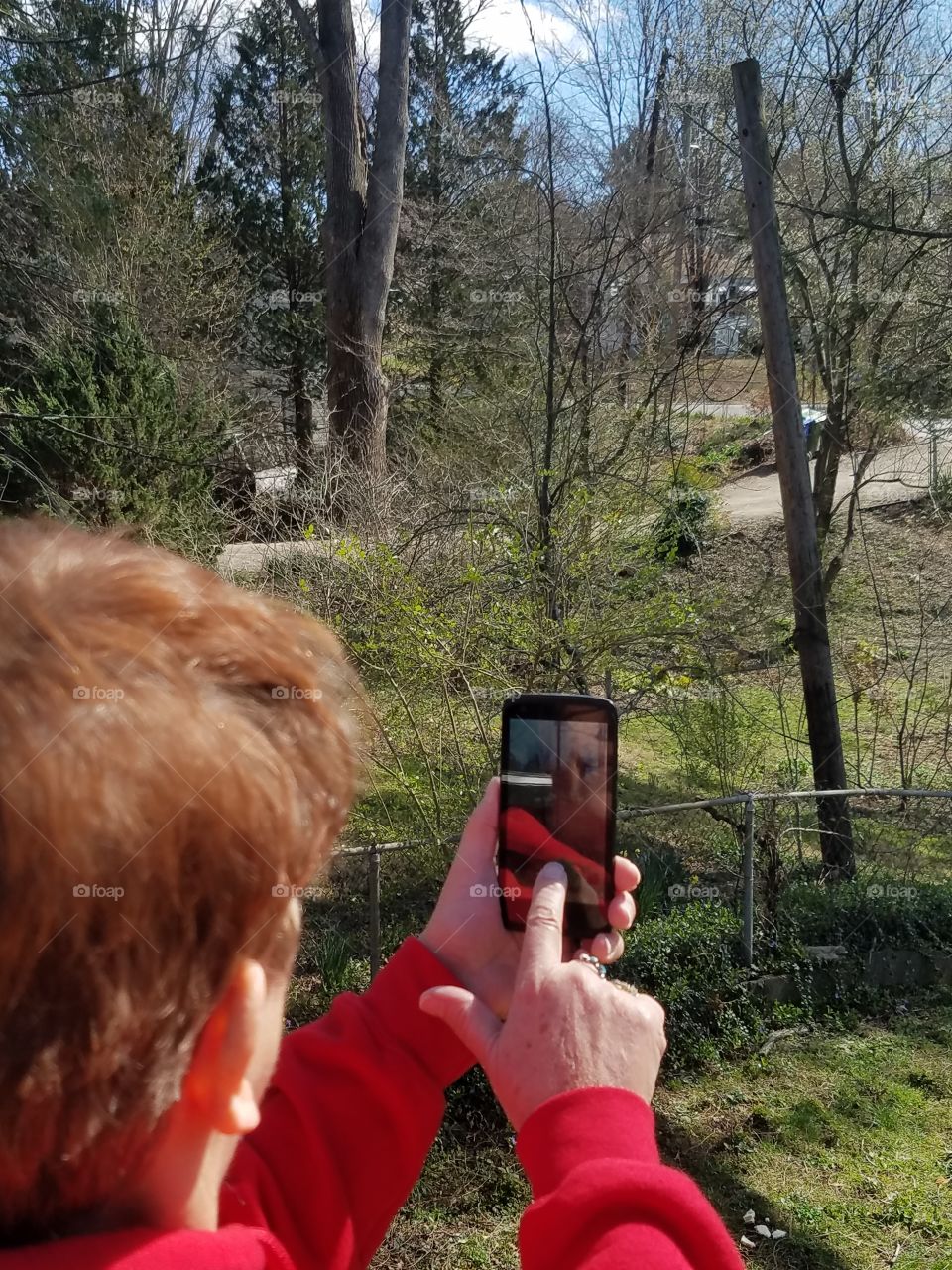 People, Adult, One, Tree, Outdoors