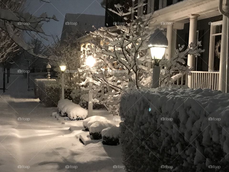 Winter at night 
