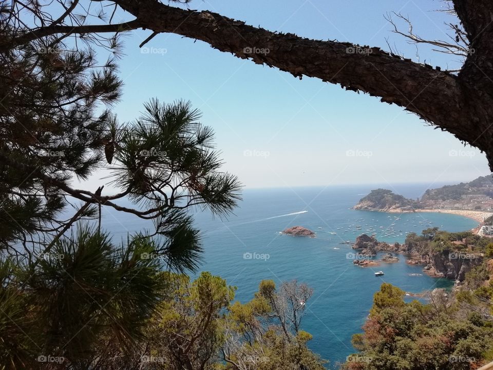 Tossa de mar